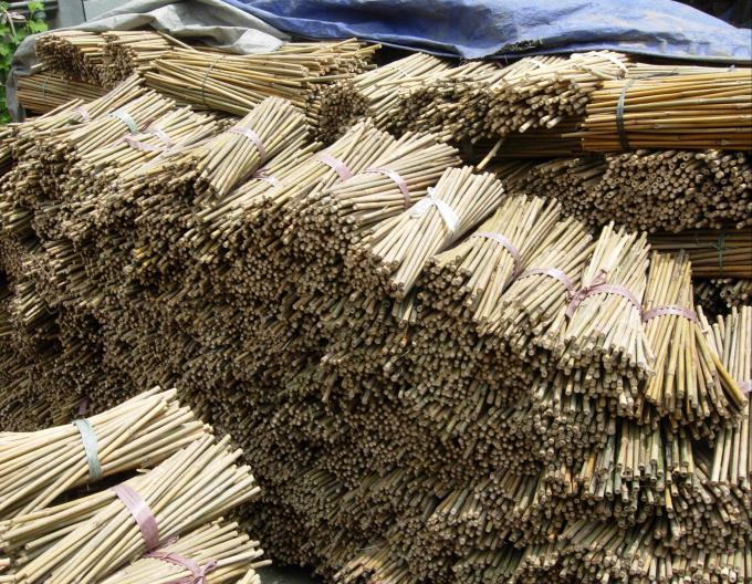 Piante in vaso di bambù ecologiche per piante interne ed esterne 3