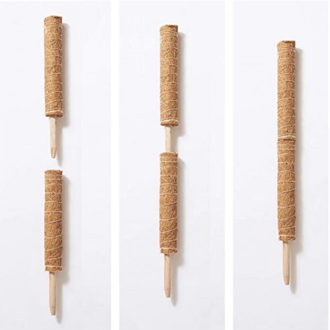 Supporto alle piante Palloni di muschio impilabili per le piante Pallone totem di cocco Pallone di muschio alto per le piante arrampicanti Sphagnum 0