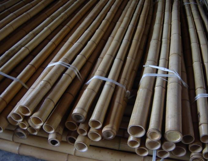 Pallone di bambù solido ideale per le piante, la costruzione e l'artigianato 3