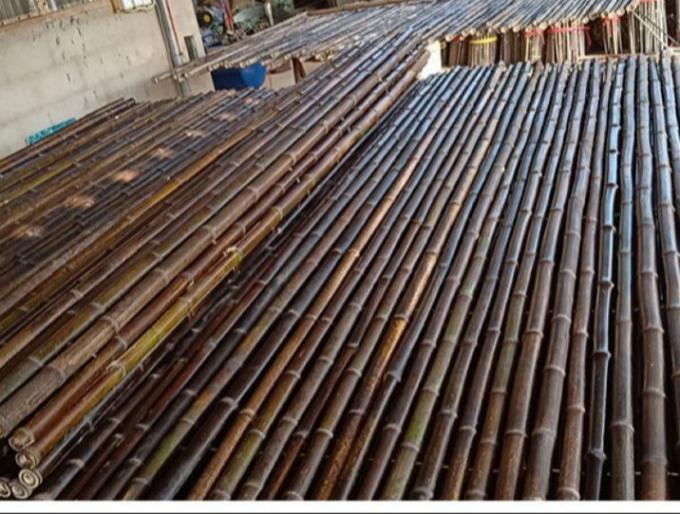 Recinto di bambù dipinto materiale di bambù naturale Privacy Garden Border di Panels Rolled Bamboo del recinto 1