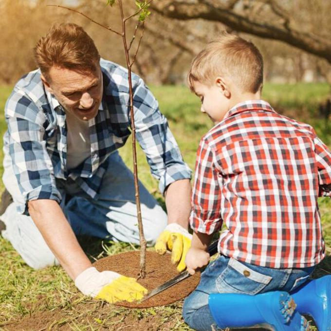Matto protettivo per alberi in fibra di cocco per copertura di piante a disco Matti antierba 6