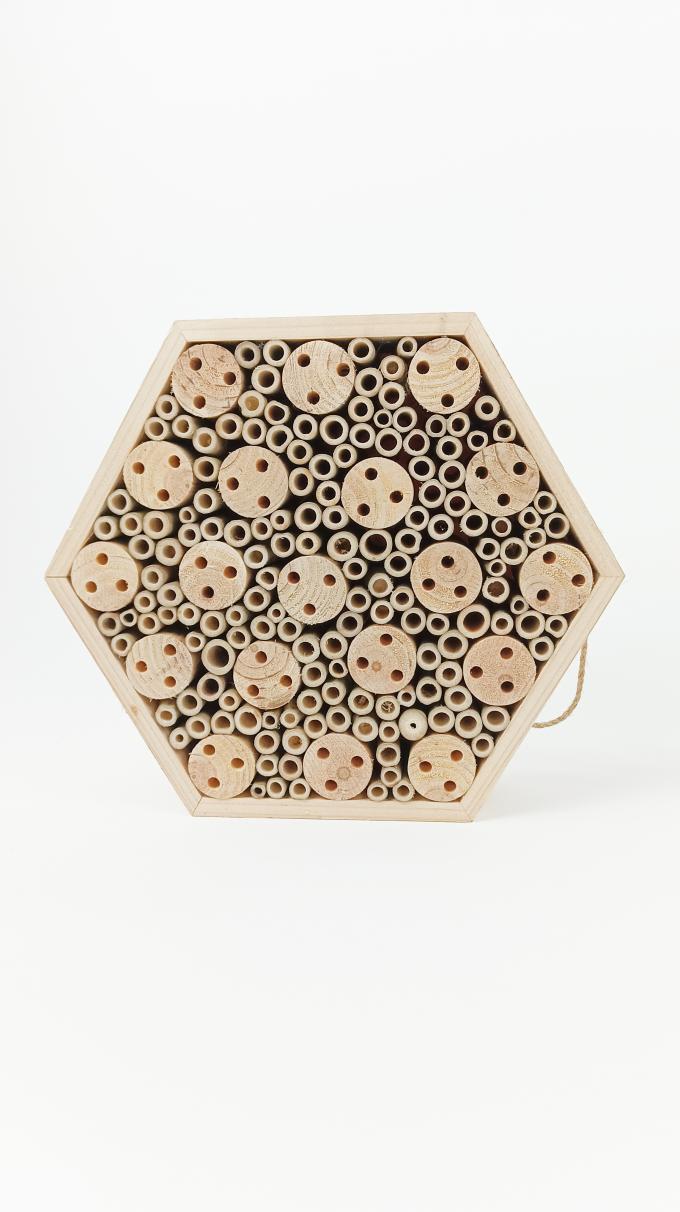 Insecto di legno Casa dell'ape Scatola appesa Habitat di insetti utili per la farfalla dell'ape 4