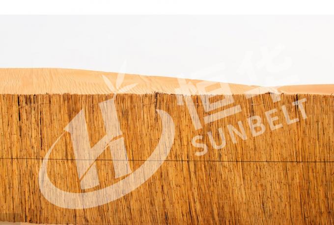 Recinzione di canne: un modo ecologico e versatile per aggiungere privacy e ombra 4