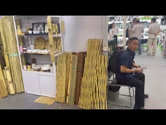 Avete visitato la mostra alla fiera di Canton?