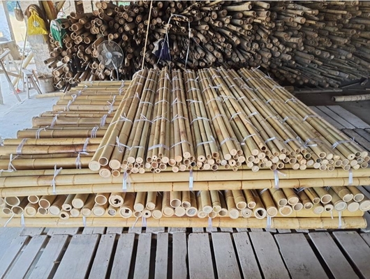 18 mm a 160 mm di diametro canna di bambù Moso palo di bambù Costruzione Agricoltura