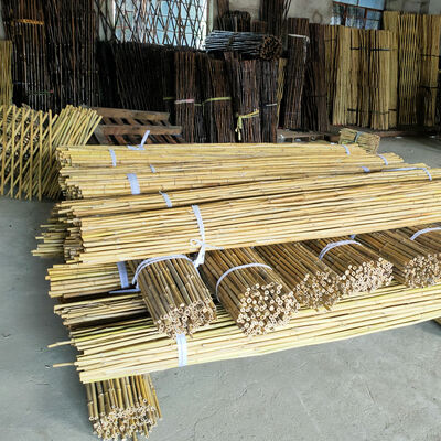 Pali di bambù grezzi decorativi ecologici diametro 0,8 cm x lunghezza 100 cm
