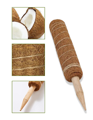 piante di Moss Totem Pole Kit For della fibra di cocco di 44cm che scalano e che sostengono la noce di cocco Palo delle piante