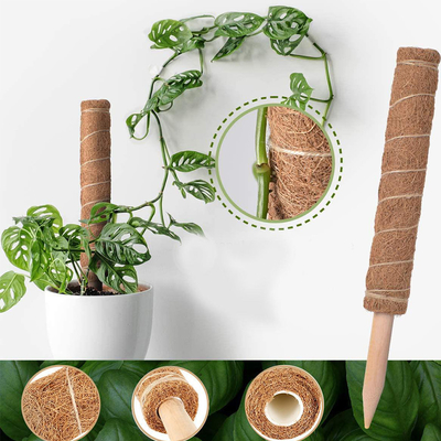 piante di Moss Totem Pole Kit For della fibra di cocco di 44cm che scalano e che sostengono la noce di cocco Palo delle piante