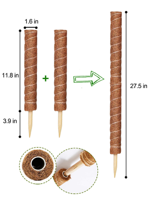 piante di Moss Totem Pole Kit For della fibra di cocco di 44cm che scalano e che sostengono la noce di cocco Palo delle piante