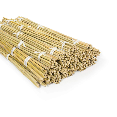 Pali di bambù naturali Pali di bambù crudi dei mobili da giardino altezza di 500cm - di 40cm