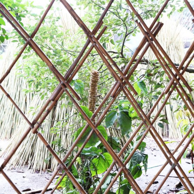 Pali di bambù naturali Pali di bambù crudi dei mobili da giardino altezza di 500cm - di 40cm