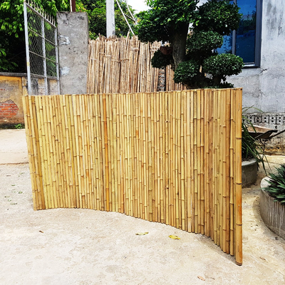 Serra del recinto di Screen Fencing For del giardino di bambù decorativo affumicato della scuola materna