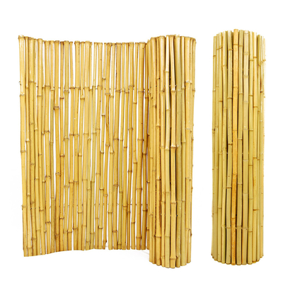 selezione rotolata di bambù del recinto di 180cm del giardino di bambù decorativo di Natural Bamboo Fence