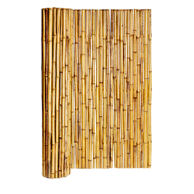 confine di bambù decorativo di For Garden Backyard del recinto colorato natura di 150cm