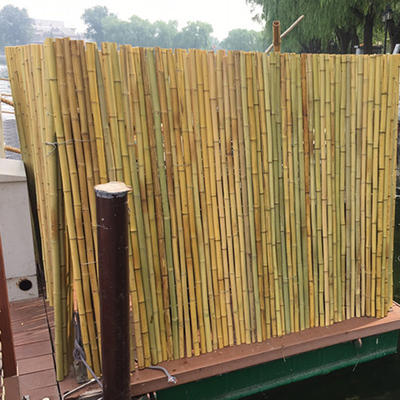 Recinto all'aperto di bambù decorativo del giardino di Tonkin Bamboo 1.5m del recinto del cortile