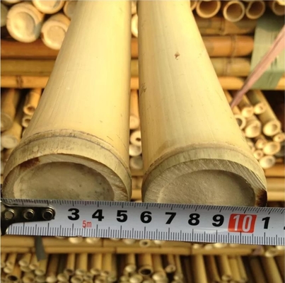 Pali di bambù di bambù a 3 pollici amichevoli di Eco Moso Palo per giallo della decorazione della pianta