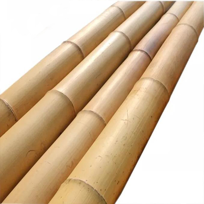 18 mm a 160 mm di diametro canna di bambù Moso palo di bambù Costruzione Agricoltura