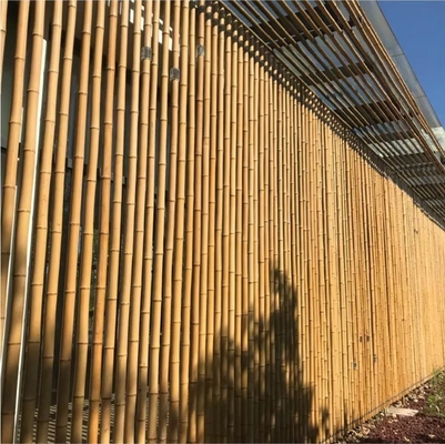 18 mm a 160 mm di diametro canna di bambù Moso palo di bambù Costruzione Agricoltura