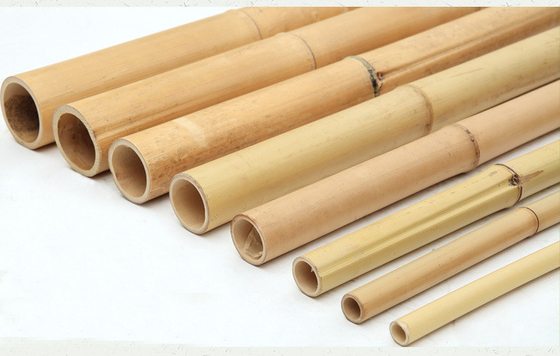 100% Palo di bambù 240cm crudo naturale che costruisce Deoration 60cm - 595cm