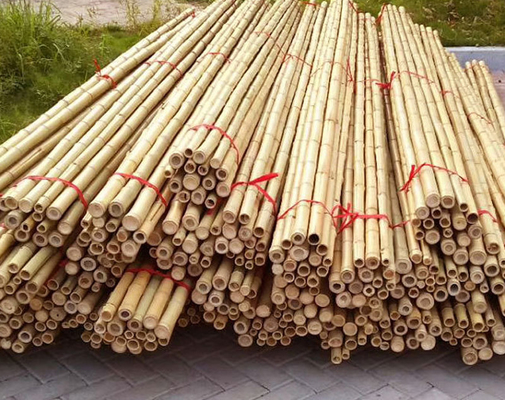 Il bambù naturale Pali dei mobili da giardino picchetta diritto per la lunghezza 16cm della pianta di giardino
