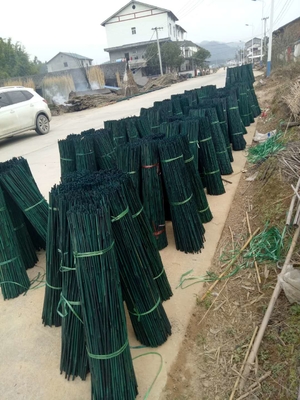 150cm Pali di bambù crudi che dipingono i pali di bambù decorativi neri rossi verdi del giardino