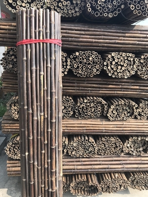 120cm Palo di bambù crudo