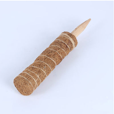 Palo di muschio per piante rampicanti 30cm 40cm 60cm 90cm Supporto totem in fibra di cocco naturale