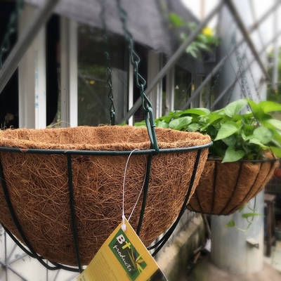 Canestro d'attaccatura della piantatrice del metallo della decorazione del giardino con la fodera dei Cochi della fibra di cocco dei Cochi