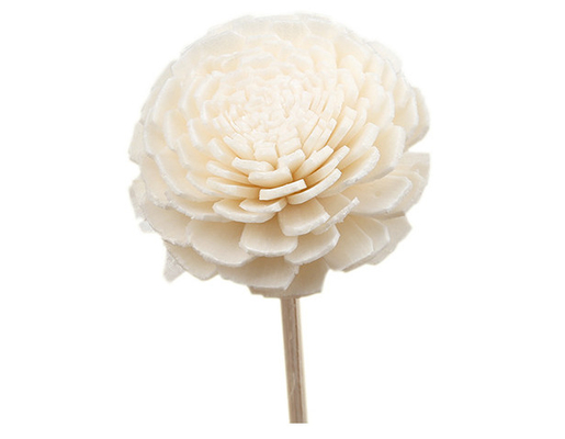 Il legno sentito ha asciugato Sola Flower Reed Diffuser 15cm con lo stoppino del cotone per decorativo
