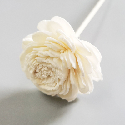 Reed Diffuse Dried Sola Flower conservato fragranza domestica Reed Diffuser con lo stoppino del cotone