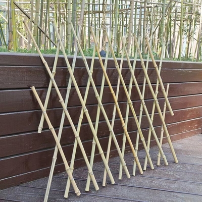 Giardino flessibile di bambù estensibile del traliccio di Pali che recinta per la decorazione 120*180cm del balcone