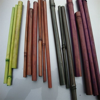 L'anti muffa ha dipinto i pali che di bambù la pianta Colourful Tonkin ha carbonizzato 250cm