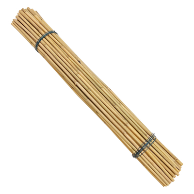 Il bambù di bambù naturale su misura di materia prima picchetta il diametro di lunghezza 6mm di 40cm 60cm 90cm