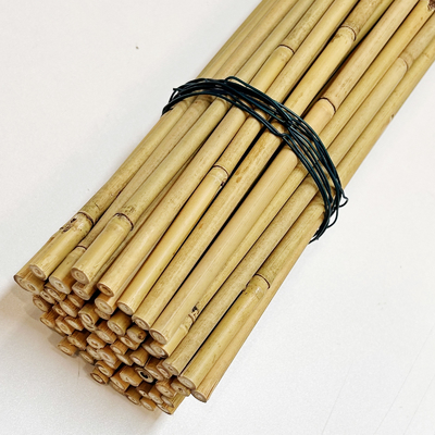 Il bambù di bambù naturale su misura di materia prima picchetta il diametro di lunghezza 6mm di 40cm 60cm 90cm