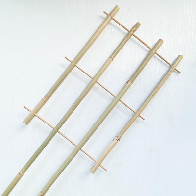 Il bambù di materia prima di 100% picchetta 6m i cerchi di forma che di U Handcrafted il fiore di sostegno del traliccio