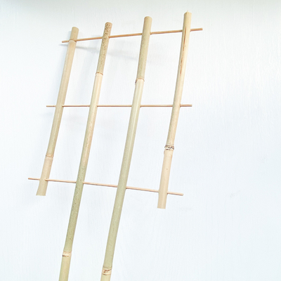 Il bambù di materia prima di 100% picchetta 6m i cerchi di forma che di U Handcrafted il fiore di sostegno del traliccio