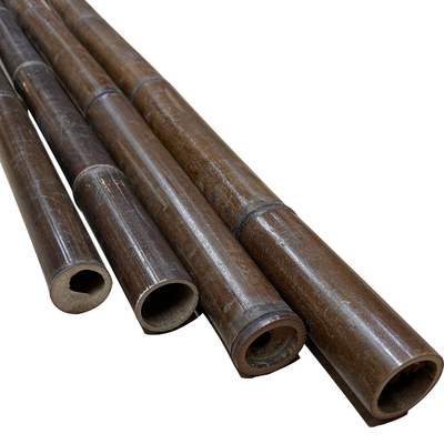 4cm a 20cm Tonkin Pali di bambù crudi hanno carbonizzato rosso verde nero su misura