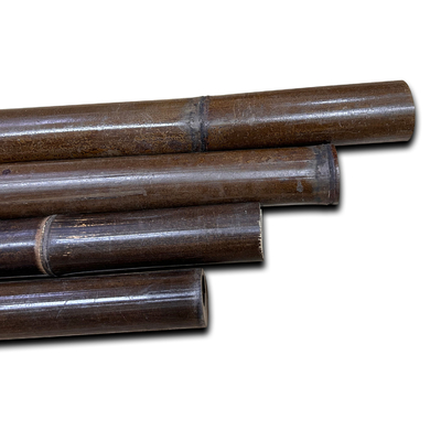 4cm a 20cm Tonkin Pali di bambù crudi hanno carbonizzato rosso verde nero su misura