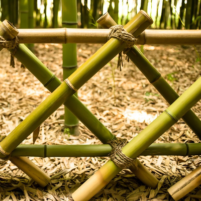 Decorazione Pali di bambù crudi Tonkin naturale Pali di bambù della pianta di giardino