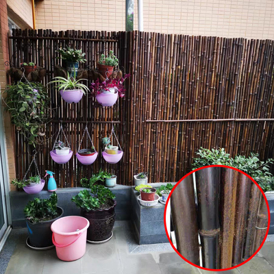 Recinto di bambù dipinto materiale di bambù naturale Privacy Garden Border di Panels Rolled Bamboo del recinto