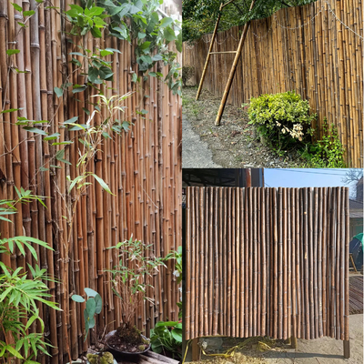 Recinto di bambù dipinto materiale di bambù naturale Privacy Garden Border di Panels Rolled Bamboo del recinto