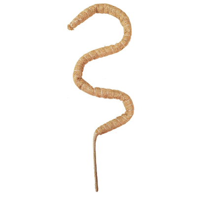 piante di Moss Totem Pole Kit For della fibra di cocco di 44cm che scalano e che sostengono la noce di cocco Palo delle piante