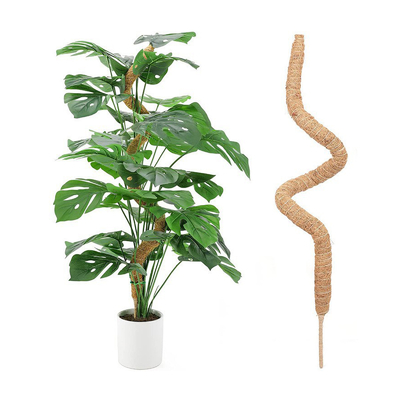 piante di Moss Totem Pole Kit For della fibra di cocco di 44cm che scalano e che sostengono la noce di cocco Palo delle piante