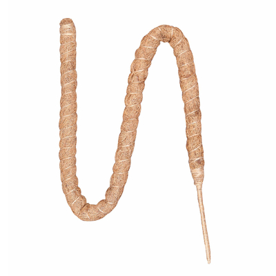 piante di Moss Totem Pole Kit For della fibra di cocco di 44cm che scalano e che sostengono la noce di cocco Palo delle piante