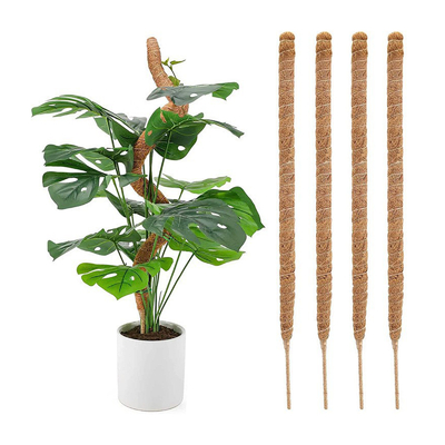 piante di Moss Totem Pole Kit For della fibra di cocco di 44cm che scalano e che sostengono la noce di cocco Palo delle piante