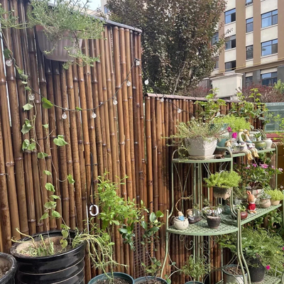 150cm Pali di bambù crudi che dipingono i pali di bambù decorativi neri rossi verdi del giardino