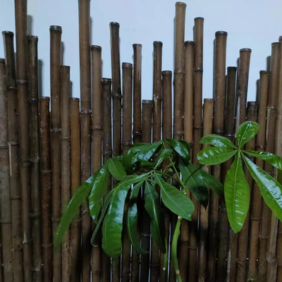 150cm Pali di bambù crudi che dipingono i pali di bambù decorativi neri rossi verdi del giardino