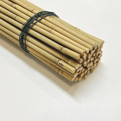 60cm diritti asciutti a grande Pali colore naturale di bambù di 595cm