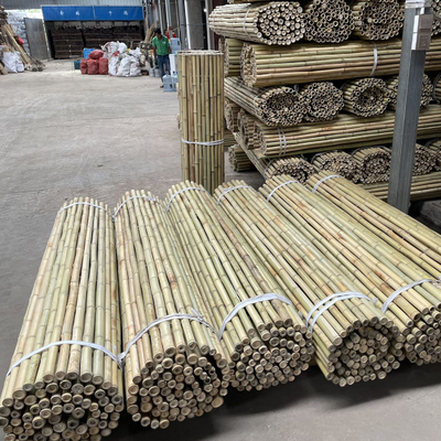 Pali di bambù naturali di sostegno della pianta per le piante d'appartamento, palo di bambù 40cm dei bastoni del giardino di bambù di Pali 595cm