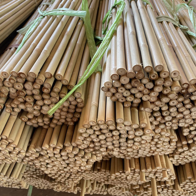 Pali di bambù naturali di sostegno della pianta per le piante d'appartamento, palo di bambù 40cm dei bastoni del giardino di bambù di Pali 595cm